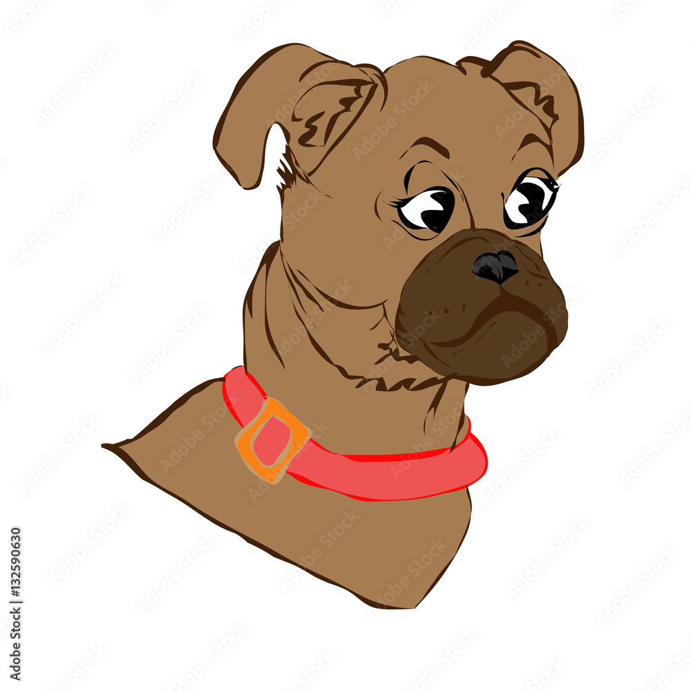 Fototapeta premium Vector illustration of a dog head