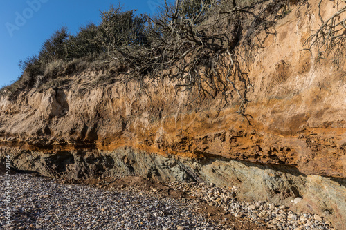 Petites falaises sur la pointe du Payré (Vendée, France) photo