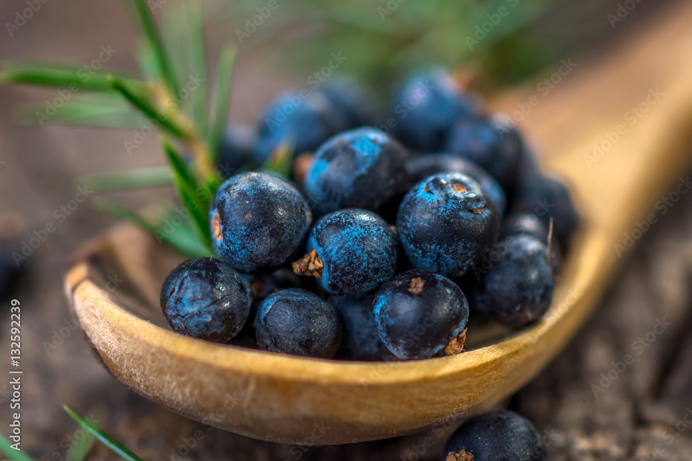 Juniper berries on old wooden table Juniper berries on old wooden table