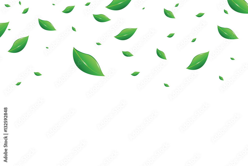 Falling green leaves Falling green leaves
