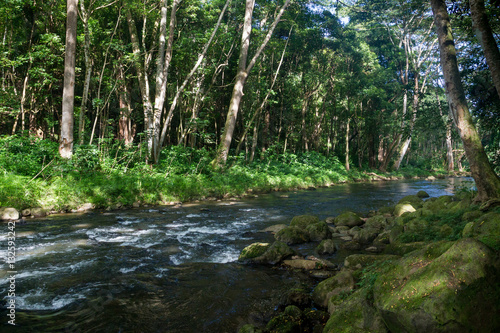 Wasserlauf im Bereich des Wailua River auf Kauai, Hawaii, USA.