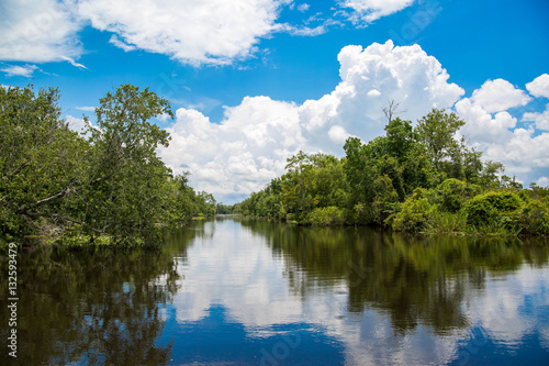 Clear Bayou