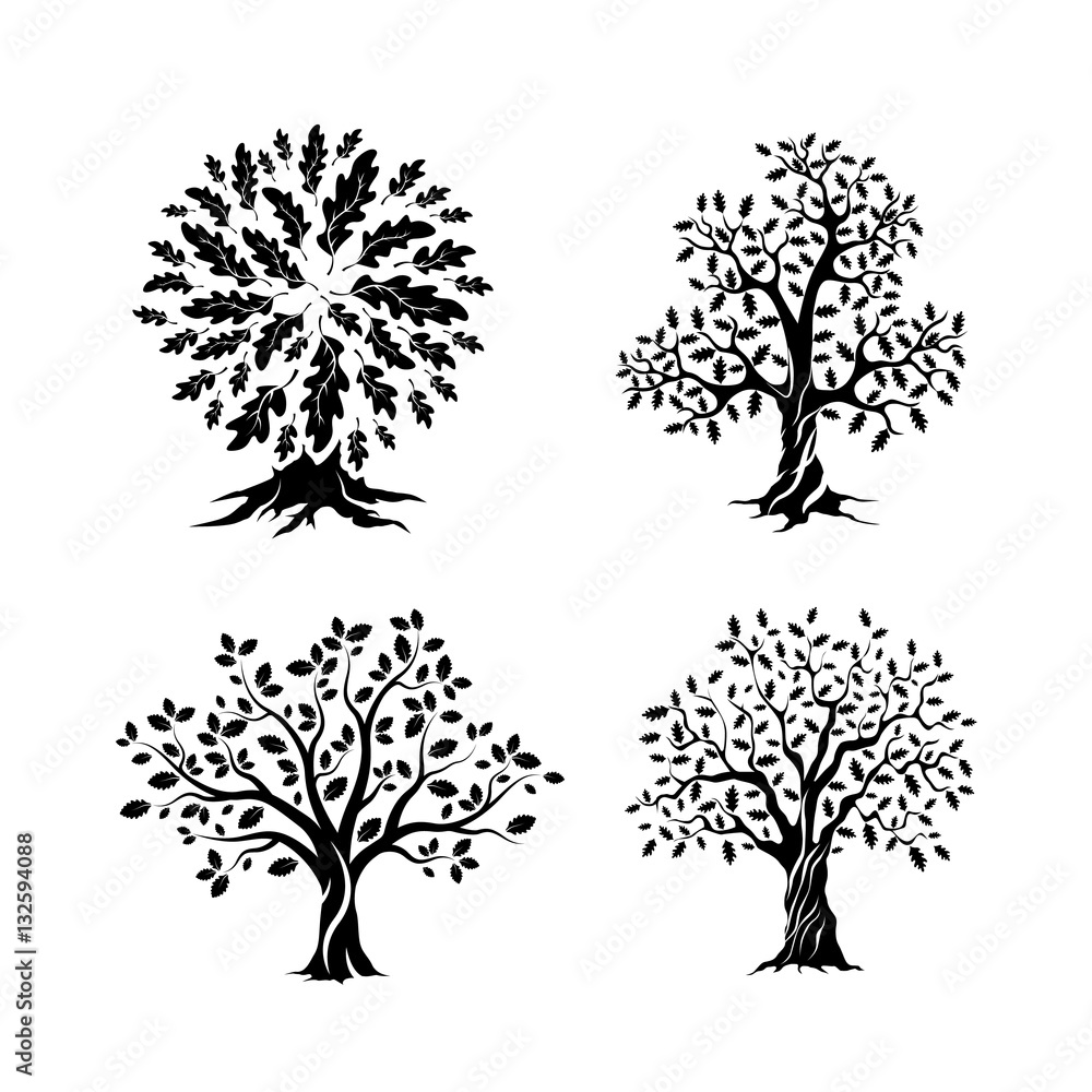 Beautiful oak trees silhouette set