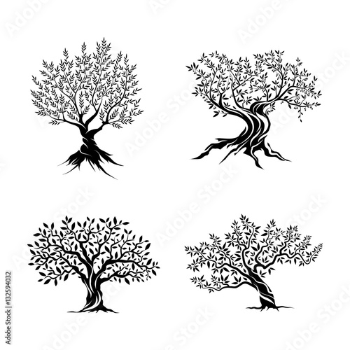 Olive trees silhouette icon set