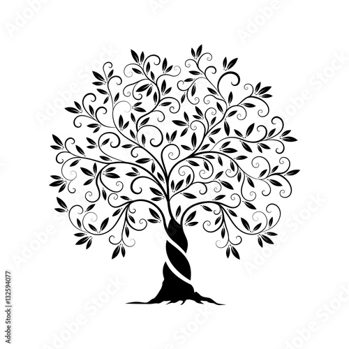 Olive tree outline curl silhouette