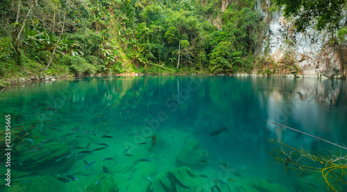 Lom Phu Kiew pond is located in Ngao district of Lampang province, Thailand which has emerald color water and many type of healthy fish.