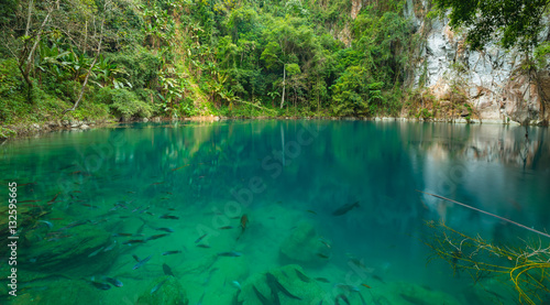 Lom Phu Kiew pond is located in Ngao district of Lampang province  Thailand which has emerald color water and many type of healthy fish.