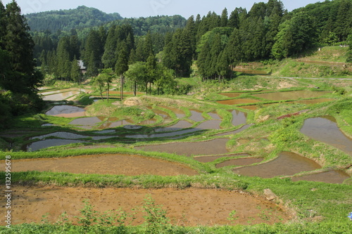 松之山棚田 新潟県