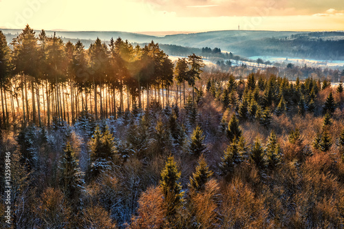 Winter Forest Landscape from above, Germany