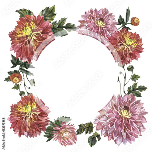 Wildflower aster flower frame in a watercolor style isolated.