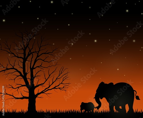 Silhouette of mother and baby elephants on the night background