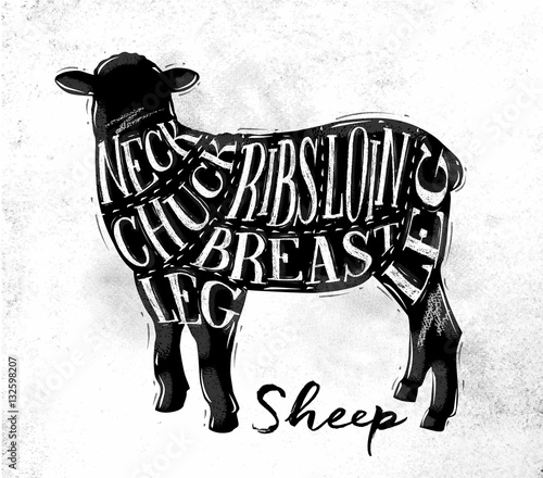 Sheep lamb cutting scheme