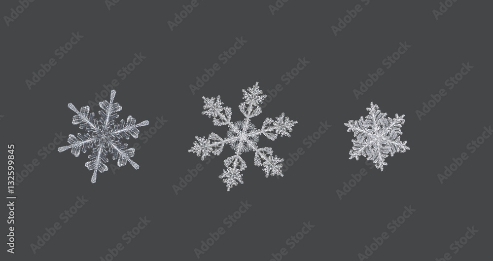 Fototapeta premium real snowflakes on grey background