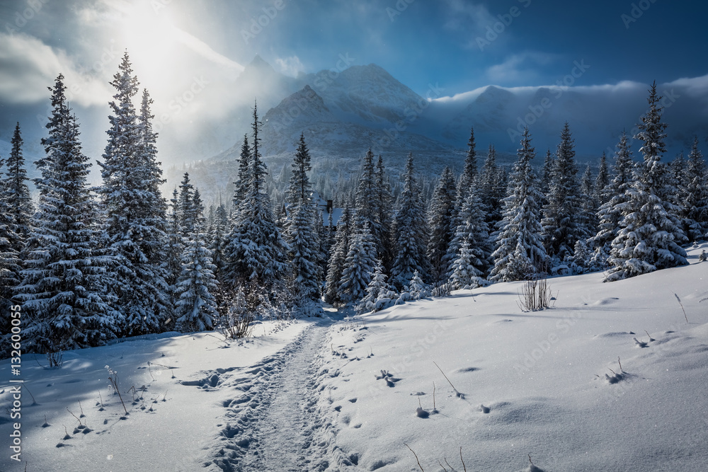 Fototapeta premium Enjoy your journey to Tatras Mountains in winter in Poland