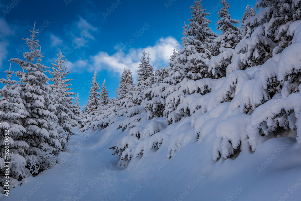 Fototapeta premium Winter mountain trail at sunset in sunny day, Tatras, Poland