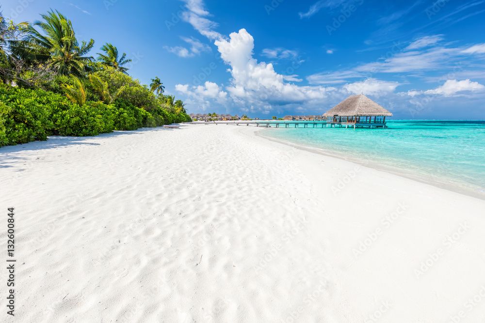 Fototapeta premium Wide sandy beach on a tropical island in Maldives. Palms and wat