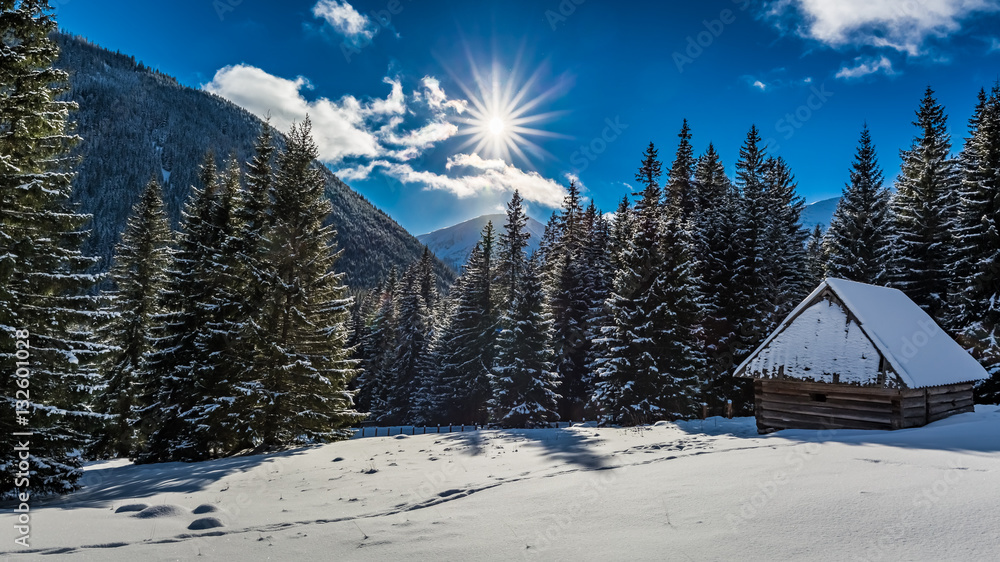 Obraz premium Chocholowska Valley in winter at sunrise, Tatra Mountains in Poland