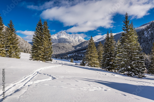 Chocholowska Valley in sunny day in winter, Tatra Mountains