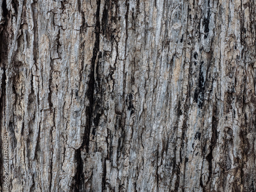 Rugged wood surfaces 