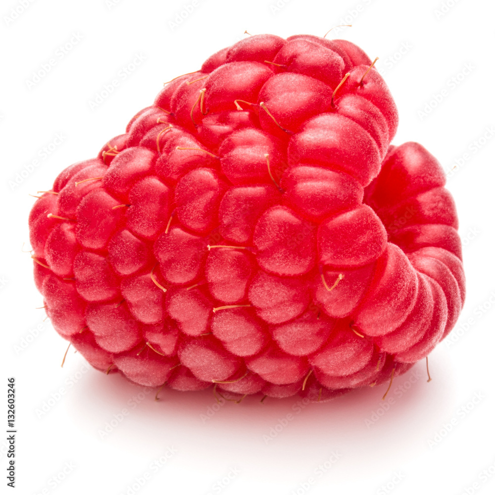 ripe raspberry isolated on white background close up ripe raspberry isolated on white background close up