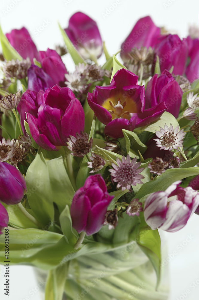Obraz premium tulips in vase