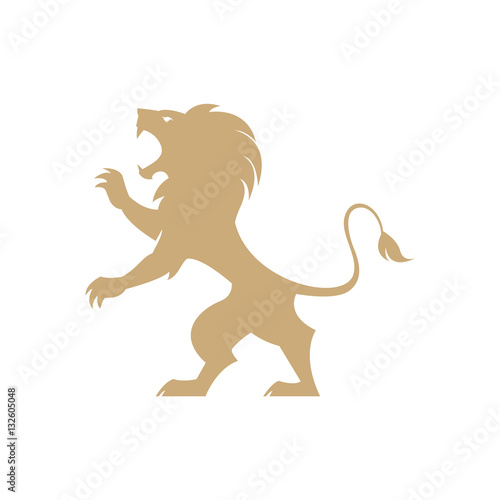 Lion logo template 