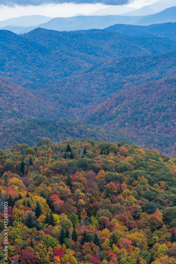 Fototapeta premium Changing Leaves and Rolling Mountains