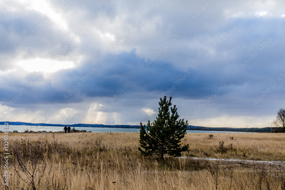 rügen im winter