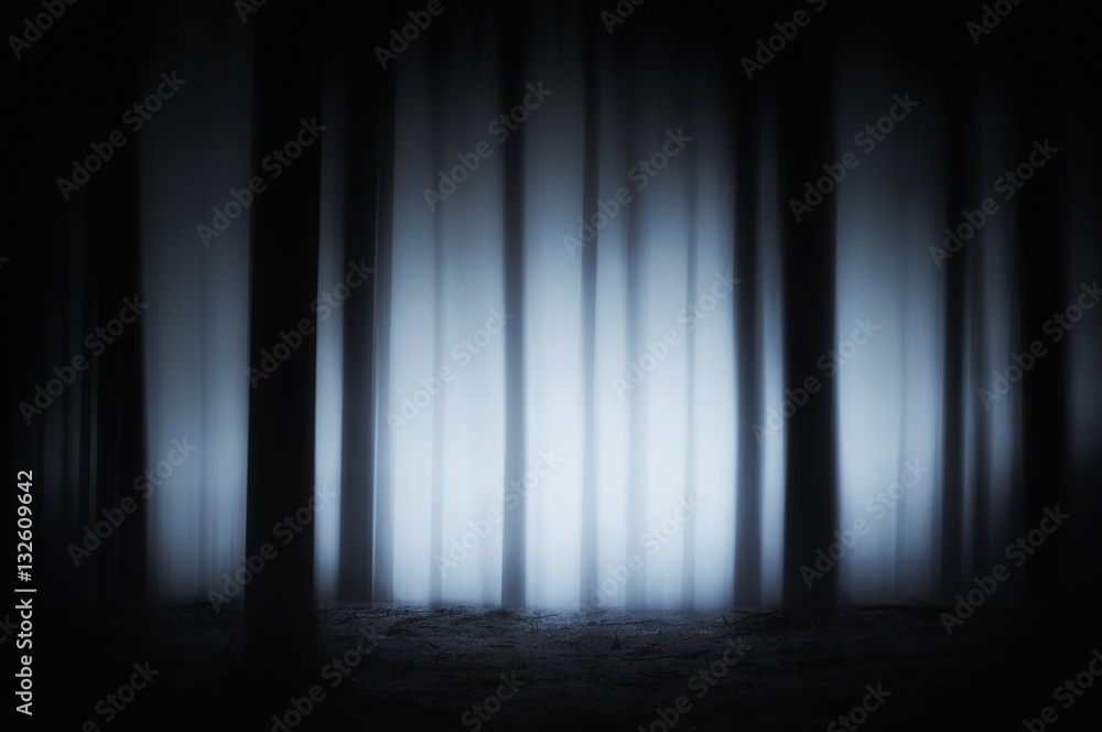 Obraz premium dark and scary forest