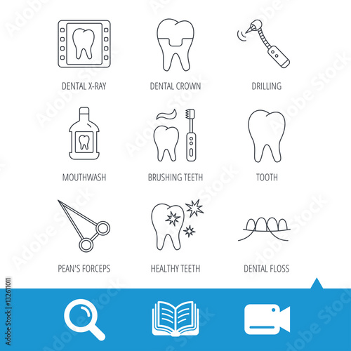 Stomatology, tooth and dental crown icons. X-ray, mouthwash and dental floss linear signs. Toothache, forceps icons. Video cam, book and magnifier search icons. Vector