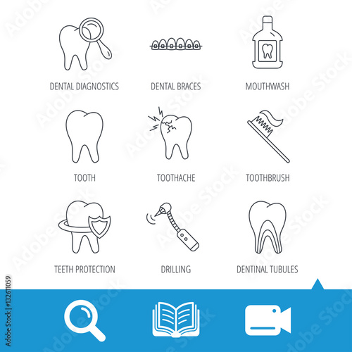 Tooth, dental braces and mouthwash icons. Diagnostics, toothbrush and toothache linear signs. Dentinal tubules, protection flat line icons. Video cam, book and magnifier search icons. Vector