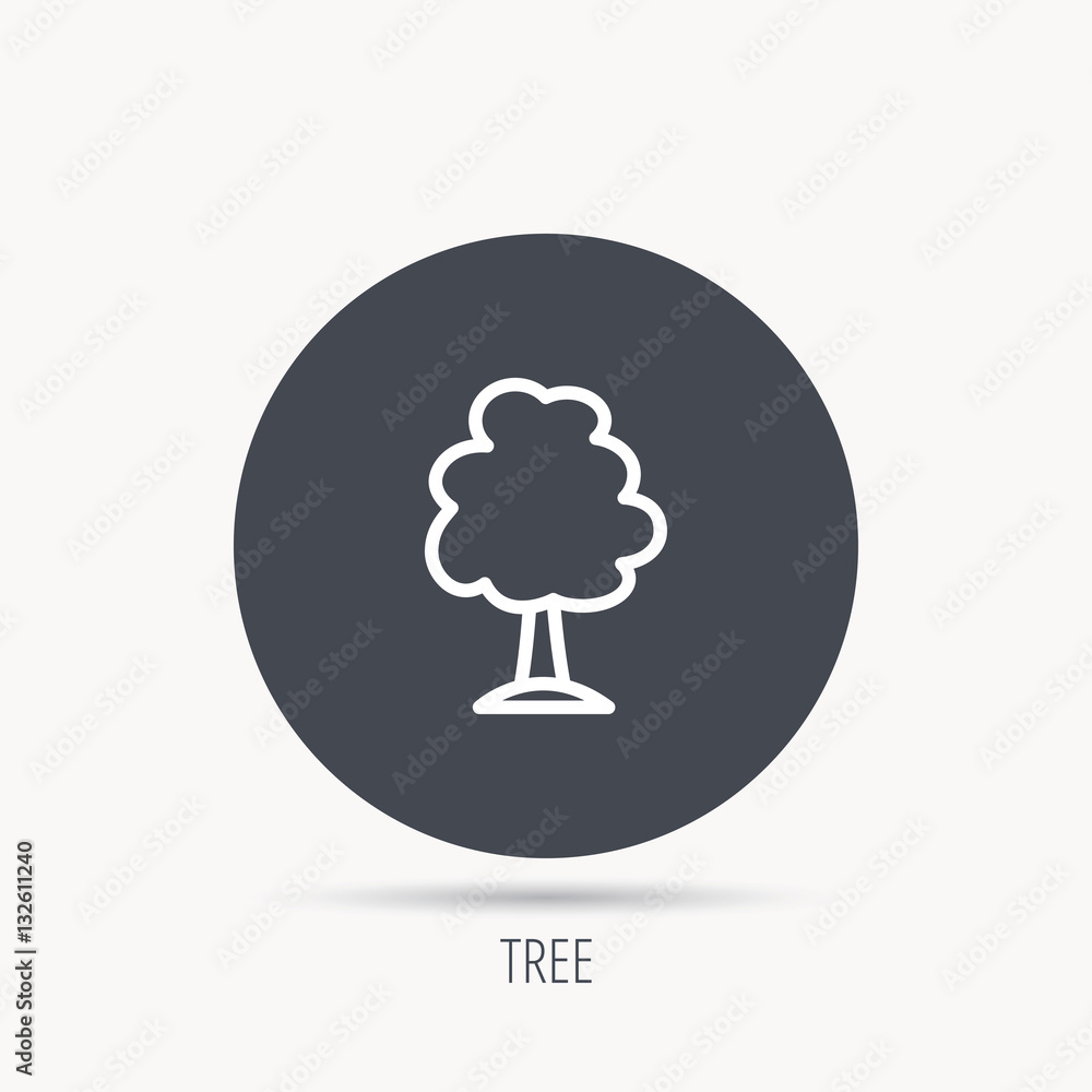 Tree icon. Forest wood sign. Nature environment symbol. Round web button with flat icon. Vector Tree icon. Forest wood sign. Nature environment symbol. Round web button with flat icon. Vector