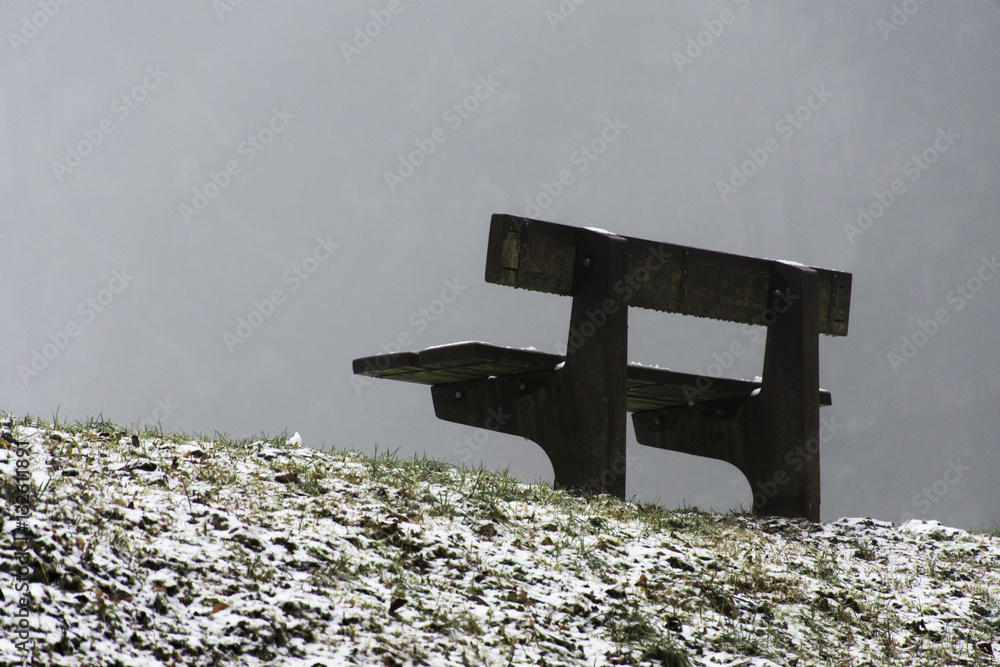 Fototapeta premium Bench empty seat in wood trees winter and fog 14