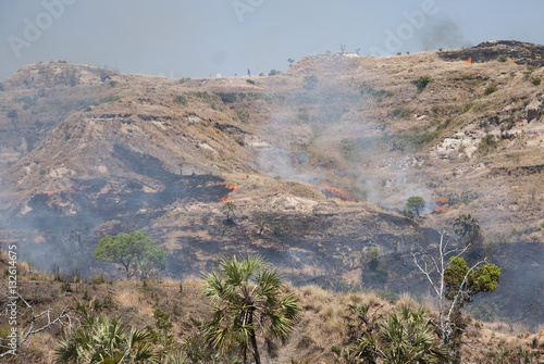 feu de brousse, Mahajanga, Madagascar photo