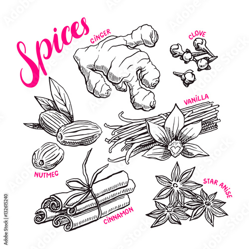 Set with hand-drawn spices