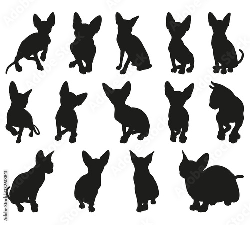 Sphynx Cat Detailed Vector Silhouettes