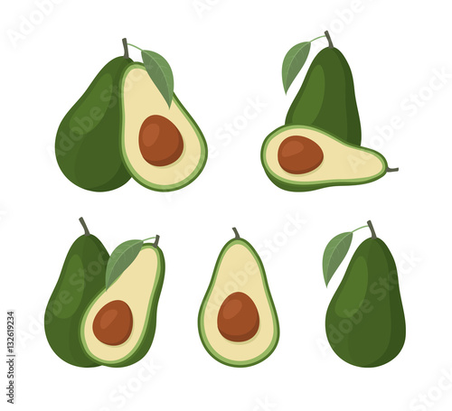 Set of avocados isolated on white background. Vector Illustration
