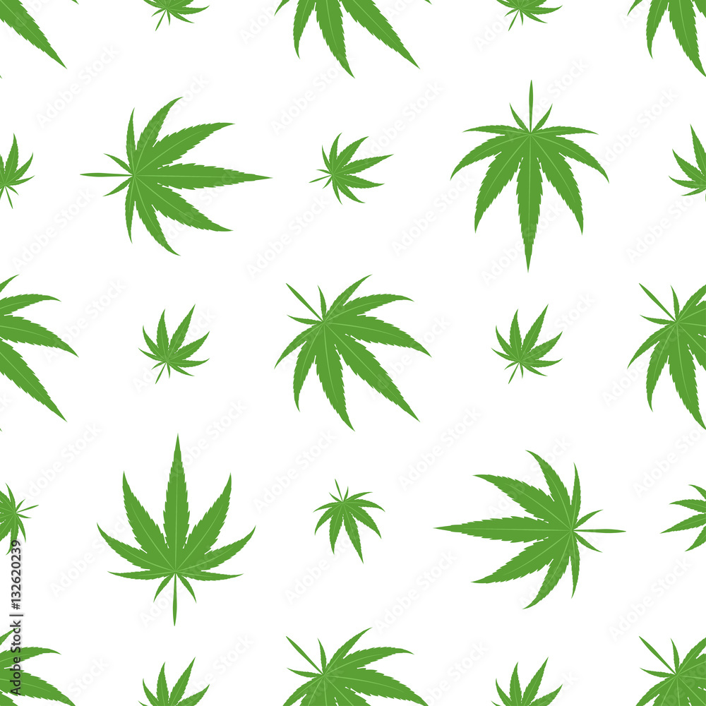 Obraz premium Marijuana seamless pattern vector.