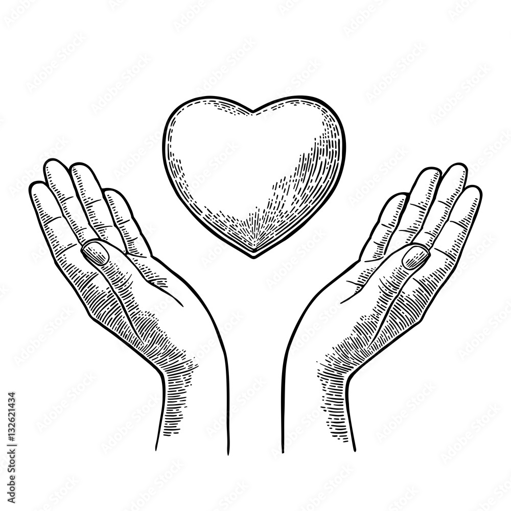 Heart in open female human palms. Vector black vintage engrav Stock ...
