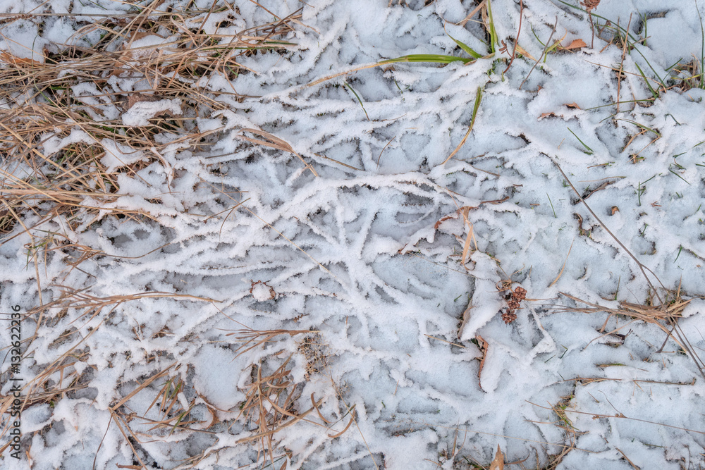 Grass and leaves sprinkled with snow background Grass and leaves sprinkled with snow background