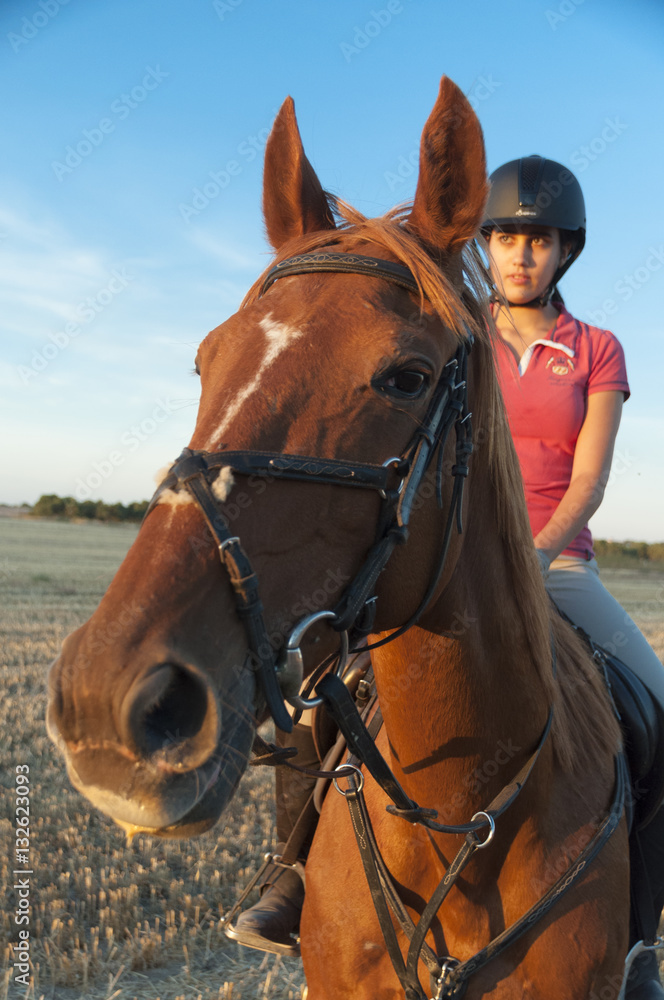 Fototapeta premium caballo y mujer