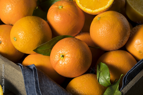 Raw Organic Orange Oranges