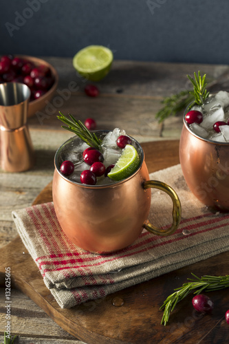 Photography Alcoholic Festive Moscow Mules