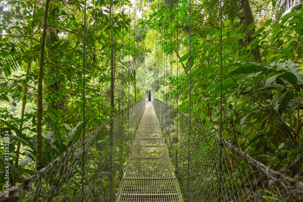 Obraz premium Wiszący most w naturalnym parku deszczowym w Kostaryce