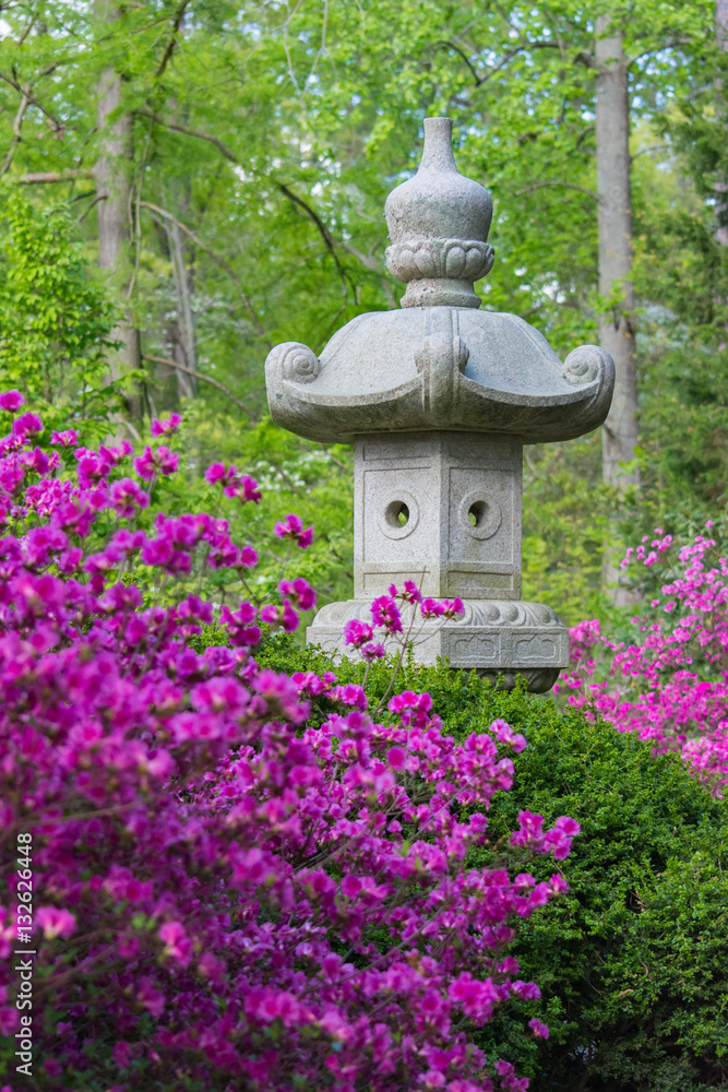 Azaleas blooming at Sarah P. Duke gardens in North Carolina. Sculpture in nature. Botanical. Park.