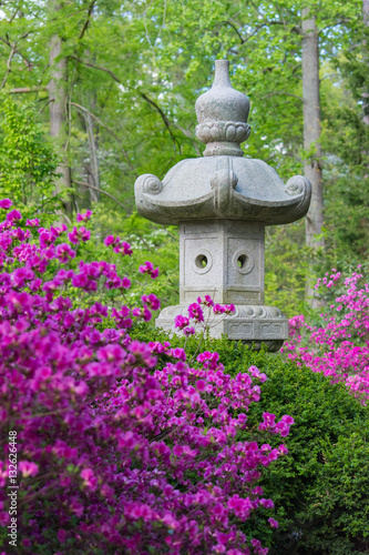 Azaleas blooming at Sarah P. Duke gardens in North Carolina. Sculpture in nature. Botanical. Park. 