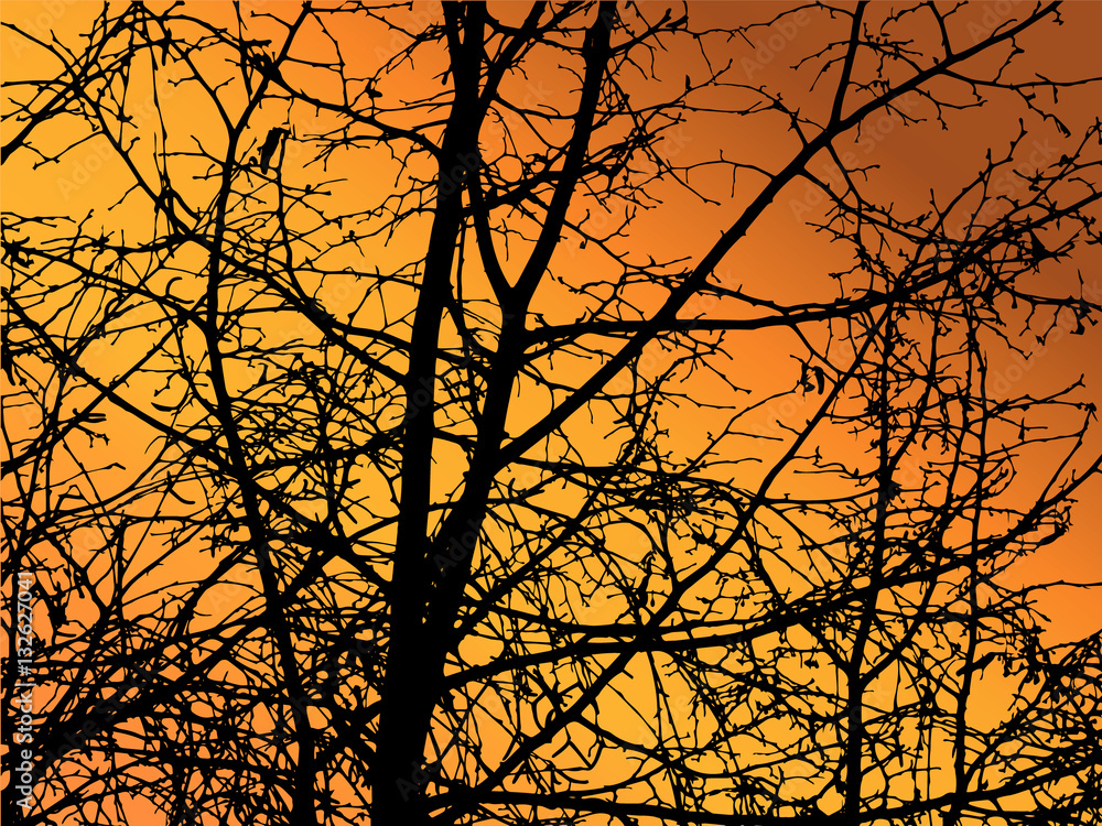 Spring nature background. Branches of trees. Yellow and orange tones of sky. Can be used for visit cards, eco texture, devices backdrops. Spring nature background. Branches of trees. Yellow and orange tones of sky. Can be used for visit cards, eco texture, devices backdrops.