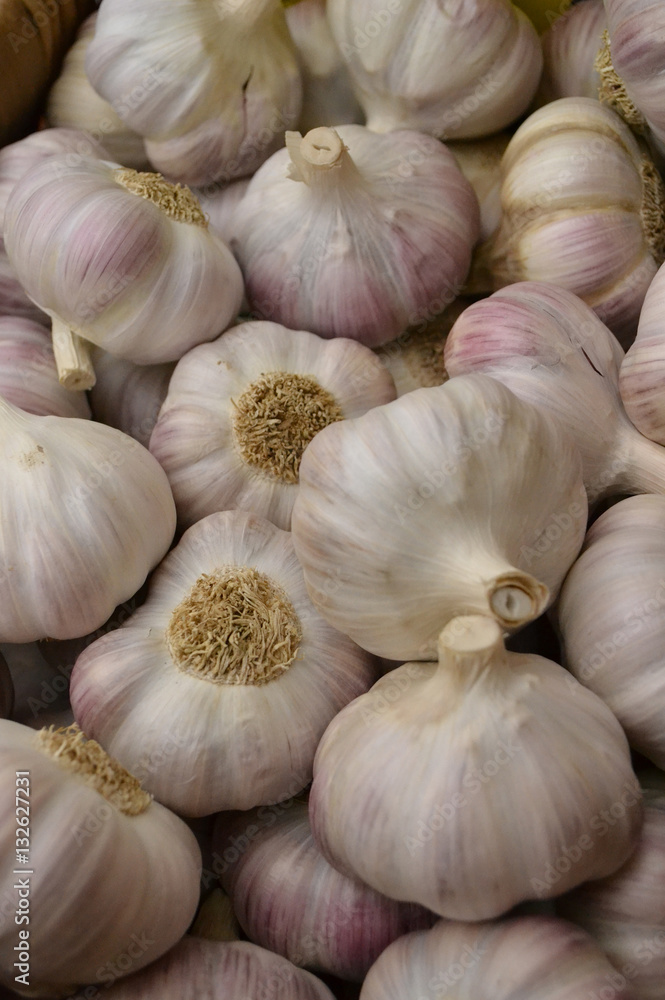 Knoblauch Knoblauch