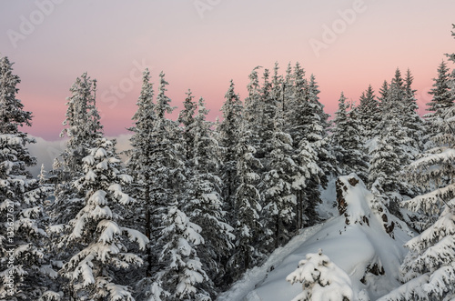 Winter landscape, Poland, mountain forest in the evening © tomeyk