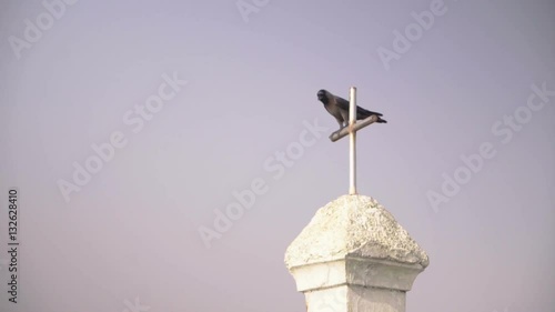 Black crow sitting on the cross photo